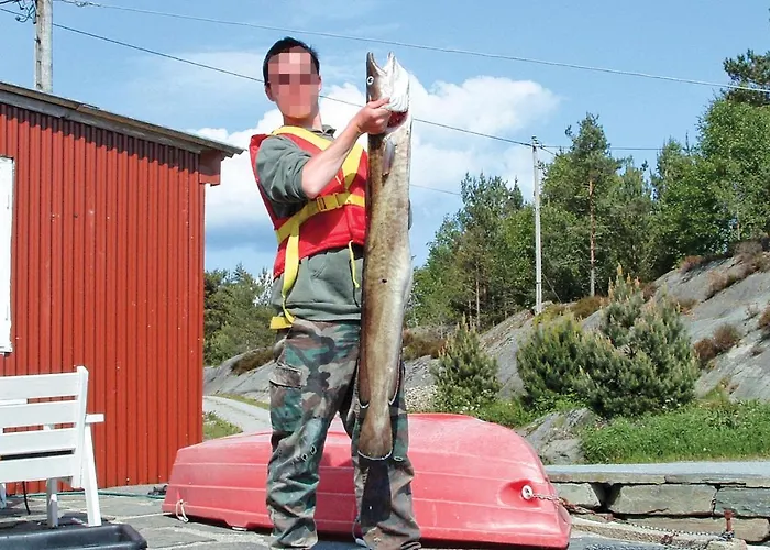 펜션 3 Bedroom Beautiful In Hatlestrand